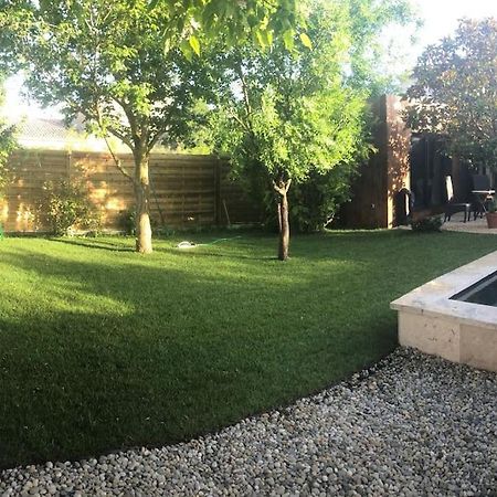 Apartament A Lombre Du Magnolia LʼIsle-sur-la-Sorgue Zewnętrze zdjęcie