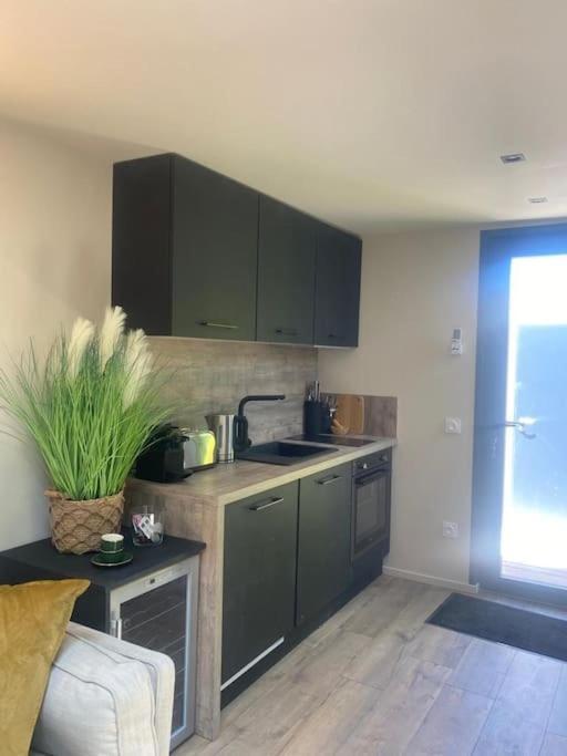 Apartament A Lombre Du Magnolia LʼIsle-sur-la-Sorgue Zewnętrze zdjęcie